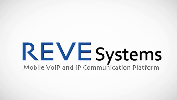 REVE Systems Top IT Company